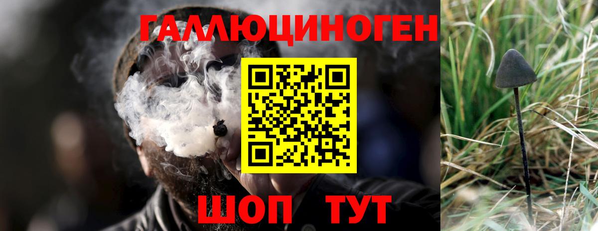 Псилоцибиновые грибы мухоморы  Вход с VPN  Новозыбков  Псилоцибиновые грибы прущие грибы 